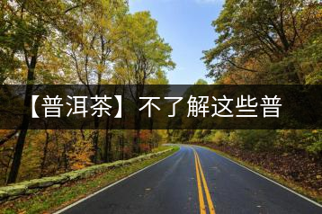 【普洱茶】不了解這些普洱茶概念，你還敢說你很懂易武茶