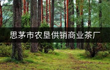 思茅市農墾供銷商業茶廠