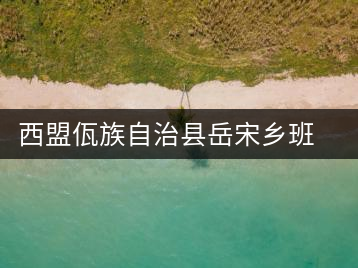 西盟佤族自治縣岳宋鄉班帥村茶廠