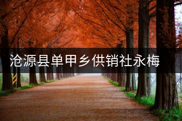 滄源縣單甲鄉供銷社永梅茶廠