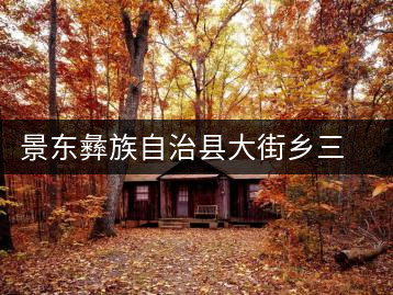 景東彝族自治縣大街鄉三營茶廠