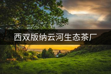 西雙版納云河生態茶廠
