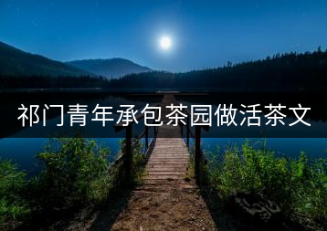 祁門青年承包茶園做活茶文章 創業之路越走越寬