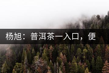 楊旭:普洱茶一入口,便知產(chǎn)地和年份