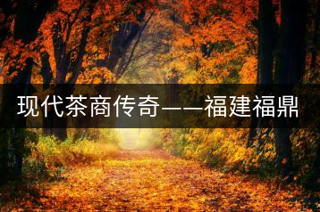 現代茶商傳奇——福建福鼎“品品香”茶業