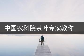 中國農科院茶葉專家教你健康喝茶