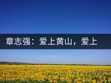 章志強:愛上黃山,愛上黃山的茶