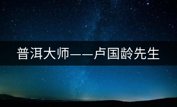普洱大師——盧國齡先生