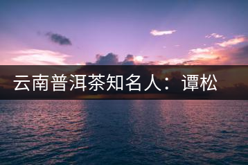 云南普洱茶知名人:譚松發