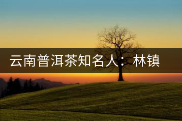 云南普洱茶知名人:林鎮浩