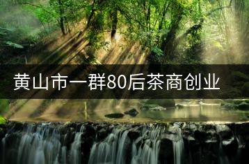 黃山市一群80后茶商創業故事