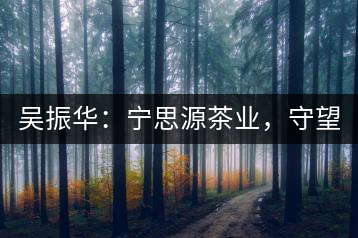 吳振華：寧思源茶業(yè)，守望家鄉(xiāng) 做好“金獎(jiǎng)茶王”
