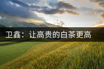 衛鑫：讓高貴的白茶更高貴