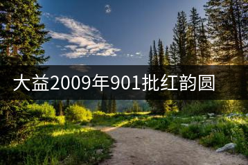 大益2009年901批紅韻圓茶熟茶品評