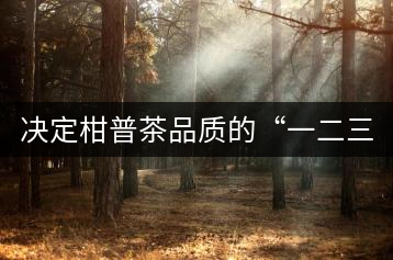 決定柑普茶品質的“一二三四”