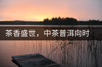 茶香盛世，中茶普洱向時代獻禮