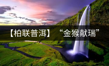 【柏聯普洱】“金猴獻瑞”限量2016片獻禮農歷猴年