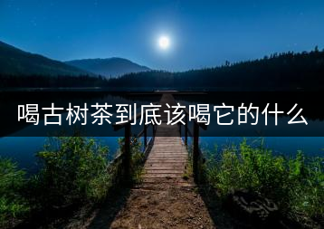 喝古樹茶到底該喝它的什么？