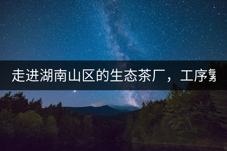 走進湖南山區的生態茶廠，工序繁雜精細，538塊錢1斤真值走進湖南山區的生態茶廠，工序繁雜精細，538塊錢1斤真值
