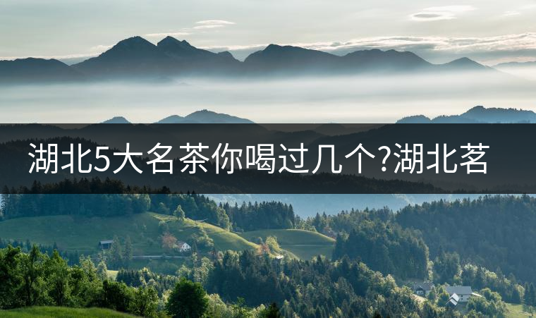 湖北5大名茶你喝過幾個?湖北茗茶的歷史故事?湖北茶哪...湖北5大名茶你喝過幾個？湖北茗茶的歷史故事？湖北茶哪個產地好