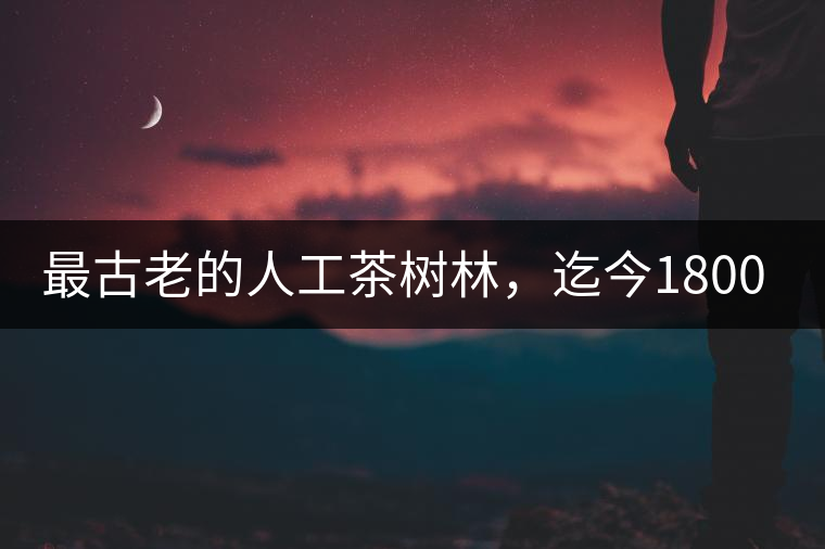 最古老的人工茶樹林，迄今1800年歷史，將申報世界文...最古老的人工茶樹林，迄今1800年歷史，將申報世界文化遺產