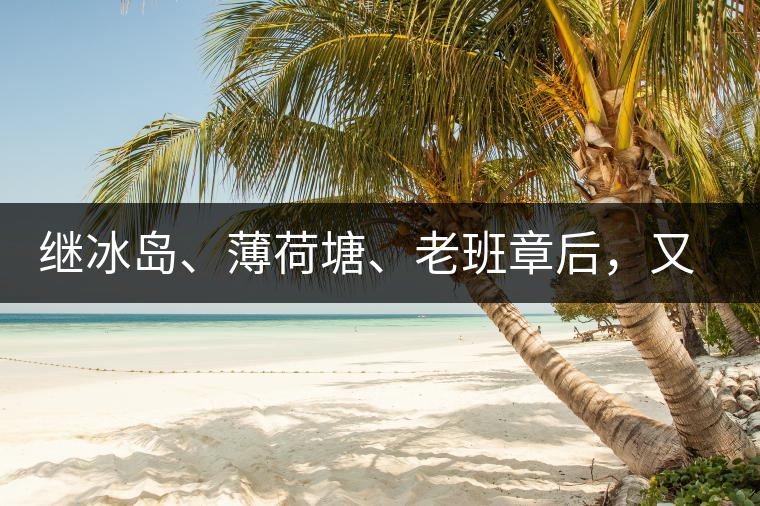 繼冰島、薄荷塘、老班章后，又一個(gè)被追捧的山頭茶火了！