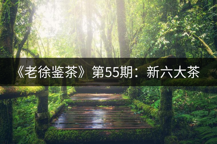 《老徐鑒茶》第55期:新六大茶山景邁山2017年普洱茶生茶品鑒報告 《老徐鑒茶》第55期:新六大茶山景邁山2017年普洱茶生茶品鑒報告