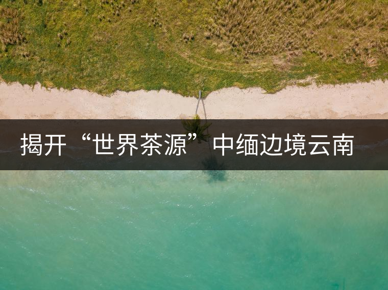 揭開“世界茶源”中緬邊境云南普洱景邁山的神秘面紗揭開“世界茶源”中緬邊境云南普洱景邁山的神秘面紗 揭開“世界茶源”中緬邊境云南普洱景邁山的神秘面紗揭開“世界茶源”中緬邊境云南普洱景邁山的神秘面紗