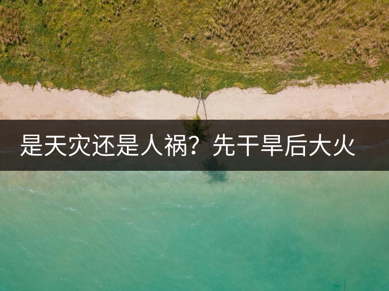 是天災還是人禍？先干旱后大火，普洱茶將何去何從？