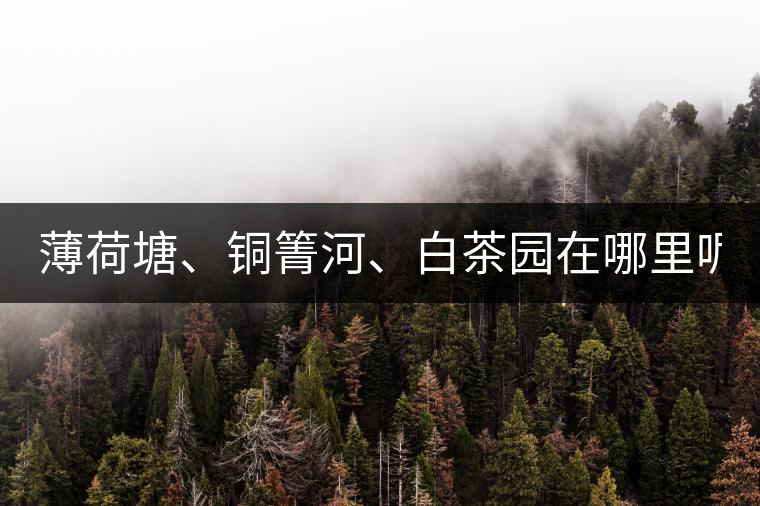 薄荷塘、銅箐河、白茶園在哪里呢?薄荷塘、銅箐河、白茶園在哪里呢？