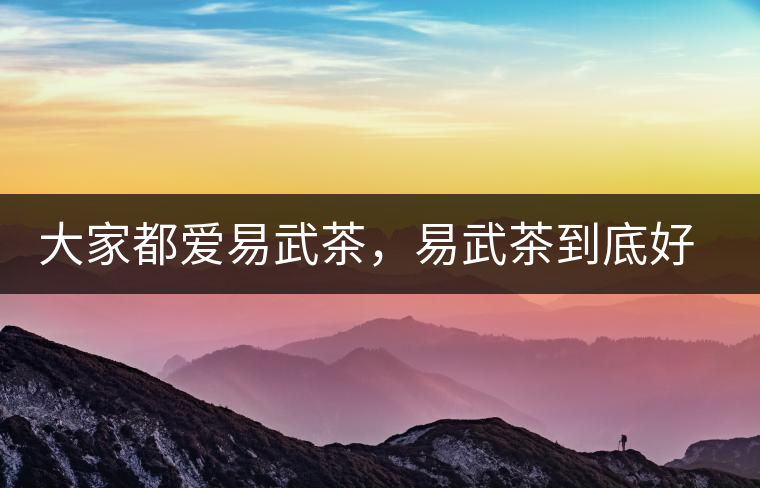 大家都愛易武茶，易武茶到底好在哪兒?大家都愛易武茶，易武茶到底好在哪兒？