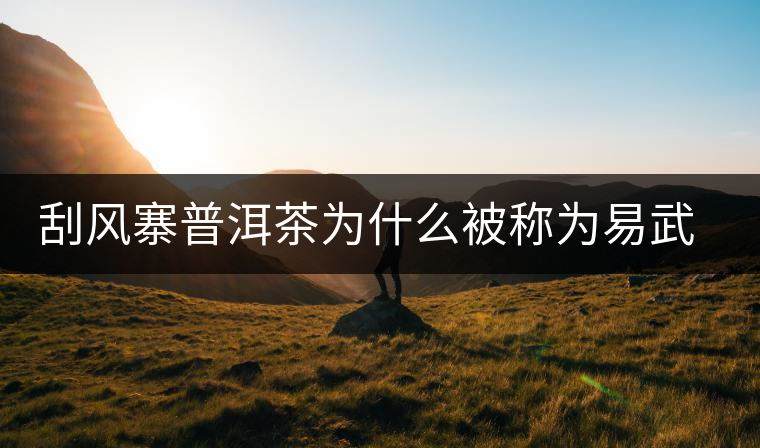 刮風寨普洱茶為什么被稱為易武茶王? 刮風寨普洱茶為什么被稱為易武茶王?