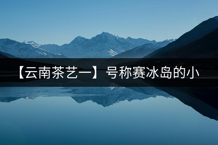 【云南茶藝一】號稱賽冰島的小戶賽憑什么！今天帶大家一起研究下