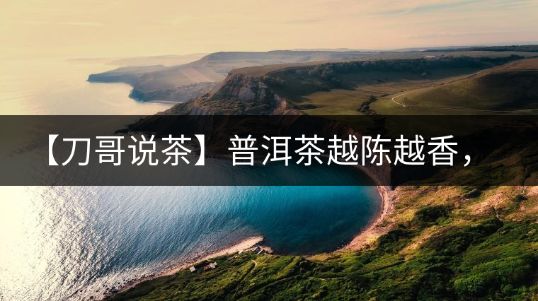 【刀哥說茶】普洱茶越陳越香，為什么新茶更受歡迎？