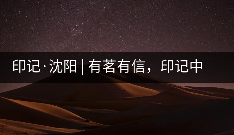 印記·沈陽 | 有茗有信,印記中茶,中茶普洱亮相沈陽茶博會 印記·沈陽 | 有茗有信,印記中茶,中茶普洱亮相沈陽茶博會
