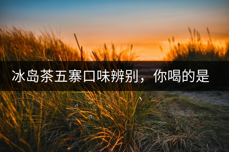 冰島茶五寨口味辨別，你喝的是正宗冰島茶嗎?冰島茶五寨口味辨別，你喝的是正宗冰島茶嗎？