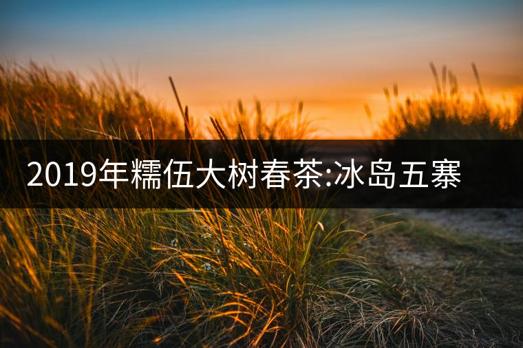 2019年糯伍大樹(shù)春茶:冰島五寨甜柔口感的代表，售價(jià)不...2019年糯伍大樹(shù)春茶：冰島五寨甜柔口感的代表，售價(jià)不到500