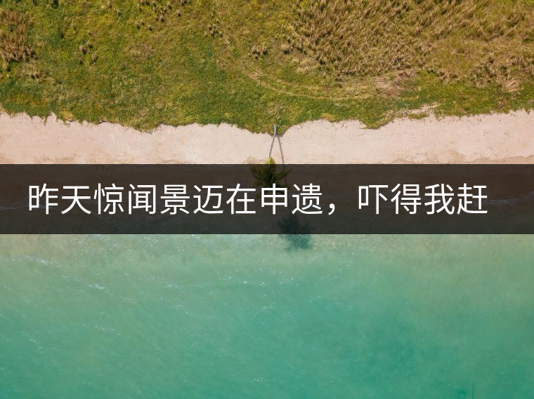 昨天驚聞景邁在申遺，嚇得我趕緊拿出景邁茶……昨天驚聞景邁在申遺，嚇得我趕緊拿出景邁茶……