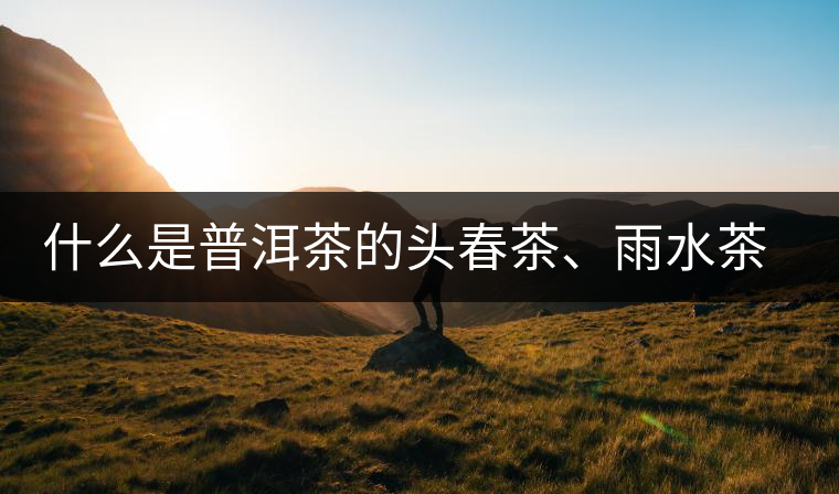 什么是普洱茶的頭春茶、雨水茶和谷花茶，怎樣區別？