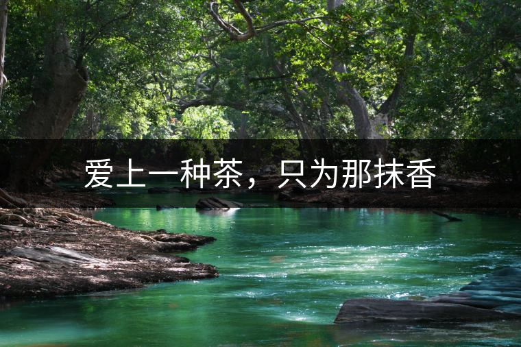 愛(ài)上一種茶，只為那抹香