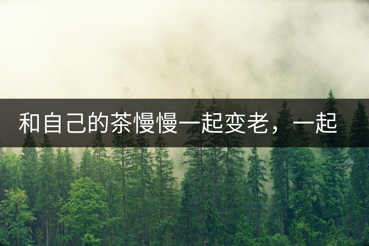 和自己的茶慢慢一起變老，一起變好