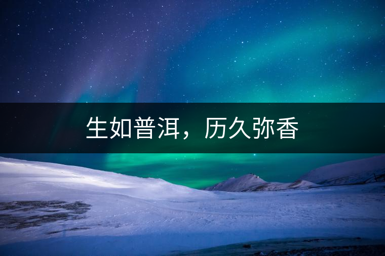 生如普洱，歷久彌香