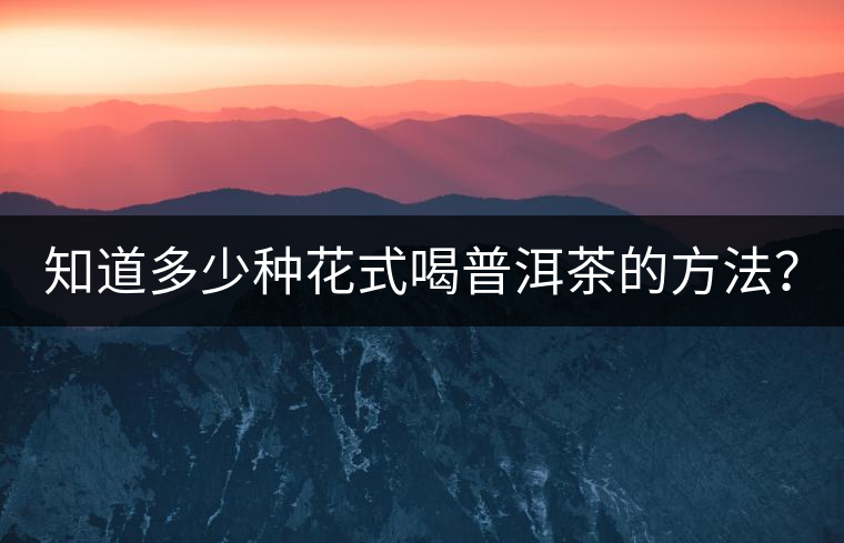 知道多少種花式喝普洱茶的方法? 知道多少種花式喝普洱茶的方法?