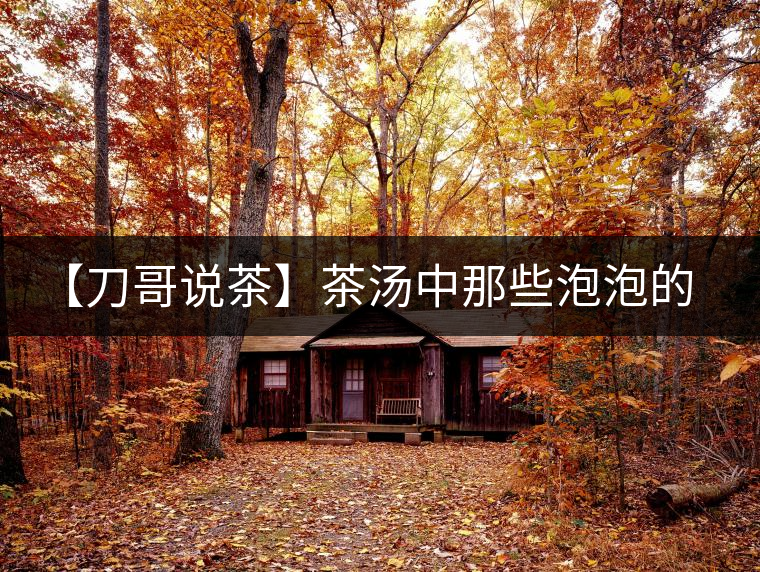 【刀哥說茶】茶湯中那些泡泡的始作俑者，茶皂素只是其中一個