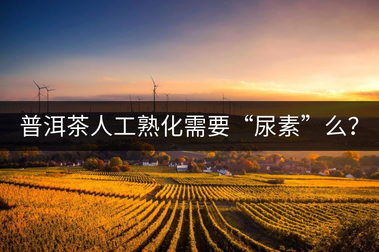 普洱茶人工熟化需要“尿素”么? 普洱茶人工熟化需要“尿素”么?