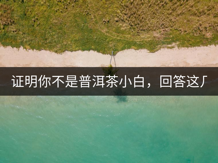 證明你不是普洱茶小白，回答這幾個問題先！