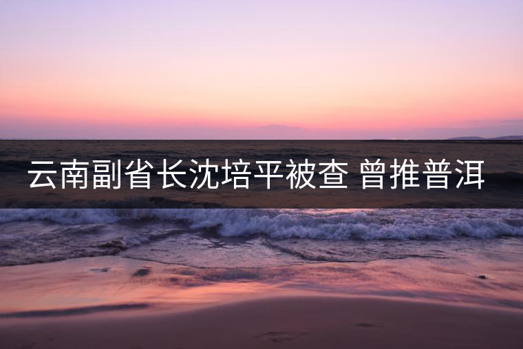 云南副省長(zhǎng)沈培平被查 曾推普洱茶被稱茶市長(zhǎng) 云南副省長(zhǎng)沈培平被查 曾推普洱茶被稱茶市長(zhǎng)