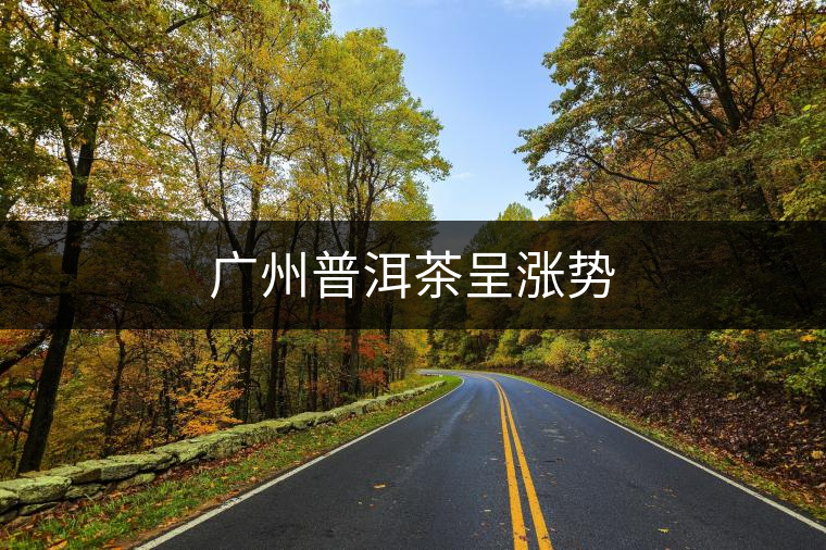 廣州普洱茶呈漲勢(shì) 廣州普洱茶呈漲勢(shì)