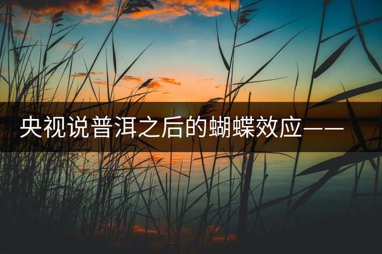央視說普洱之后的蝴蝶效應——過度開采會出現“死循環”？