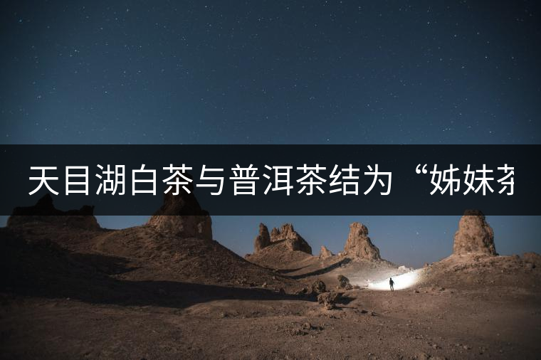 天目湖白茶與普洱茶結為“姊妹茶”